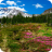 Гора Шаста/ Mount Shasta