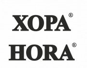 Практика ХОРА