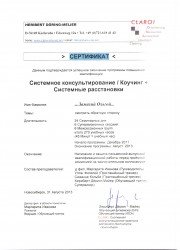 Сертификат об&nbsp;окончании программы "Системные расстановки" на&nbsp;немецком языке