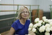 "Ступени роста", "Лесной курс"