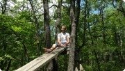 Лес. Практика