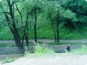 Лес