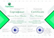 Елена Юрьевна Корчагина, тренер / консультант, Томск