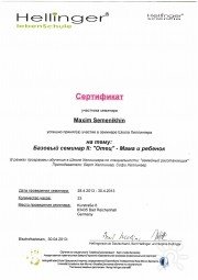 4-й сертификат школы Хеллингеров
