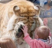 Мы с&nbsp;тобой одной крови