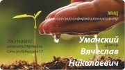 Что посеешь, то&nbsp;и пожнёшь