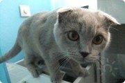 Мы вас насквозь видим