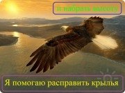 Антон Кошелев, тренер / консультант, Екатеринбург
