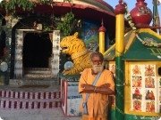 Свами Ванкханди Махарадж, тренер / консультант, Индия