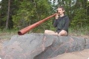 Музыкант-мультиинструменталист