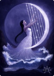 Татьяна Полоцкая, тренер / консультант, Краснодар, Черноморское побережье