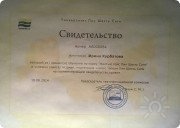 Жёлтый пояс Lean 6 sigma