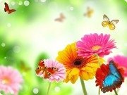 Лёгкость как состояние души