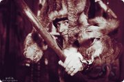 Евгений Александрович Скутте, тренер, Краснодар, Кемерово