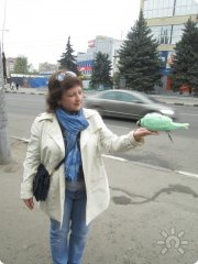Голубь