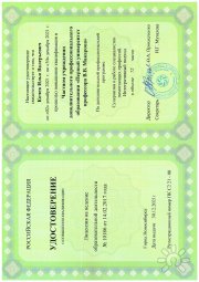 Илья Валерьевич Кочев, консультант, Краснодар