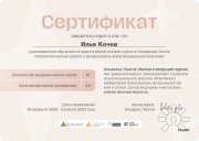 Илья Валерьевич Кочев, консультант, Краснодар