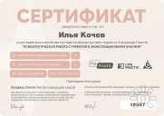 Илья Валерьевич Кочев, консультант, Краснодар