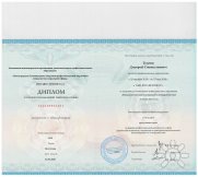 Диплом психолога Тулупова Дмитрия