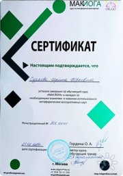 Ирина Юрьевна Суркова, тренер / консультант, Новосибирск