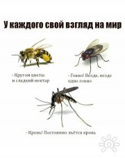 Елена Стребличенко, тренер / консультант, Москва, Владимир