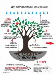 Елена Стребличенко, тренер / консультант, Москва, Владимир