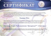 Постоянный сертификат Мастера Сатори