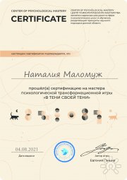 Сертификат на&nbsp;проведение игры "В тени своей тени"