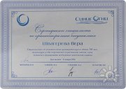 сертификат о&nbsp;курсе 702 часа