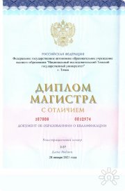 Юрий Витальевич Дроздов, консультант, Томск