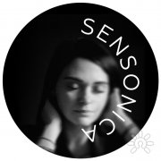 Sensonica, тренер / консультант, Москва