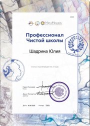 Профессионал Чистой школы