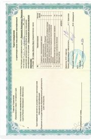 Анастасия Павловна Ложкина, тренер / консультант, Барнаул