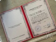 Диплом профессиональной подготовки