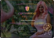 сертификат об&nbsp;обучении в&nbsp;Академии, 2 уровень