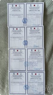 Татьяна Дмитриевна Викторова, тренер, Санкт-Петербург, Москва
