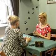 Практика в&nbsp;котокафе "Кис-Кис"