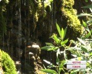 Родник Тамшыбулак