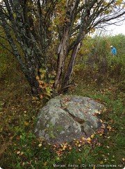 Святые камни Пятницы и&nbsp;Николы из&nbsp;Мерского стана