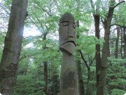 Кривоклатские леса. Чехия