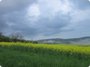 Кривоклатские леса. Чехия