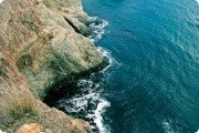 Фиолент