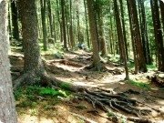 Каракольские озёра