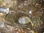 Благословенная вода