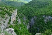 Окрестные леса