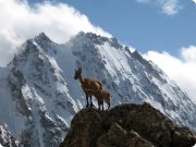 Горы