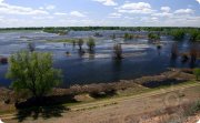 Природный парк "Волго-Ахтубинская пойма"