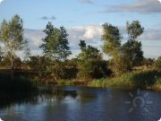 Природный парк "Волго-Ахтубинская пойма"