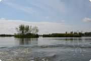 Плавающие острова