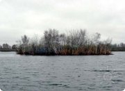Плавающие острова
